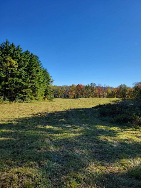Vacant Land For Sale - Hurricane Ridge Road<br/> Greenbrier County, Charmco, WV 25958