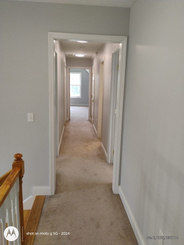 104 Belmore Court, Prosperity, West Virginia image 42