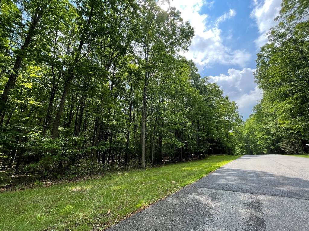 104 Saddlebrook Ln, Daniels, West Virginia image 3