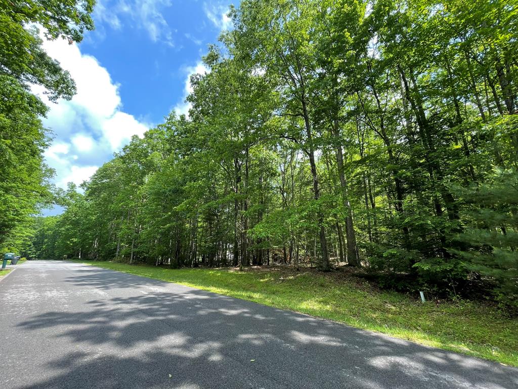 104 Saddlebrook Ln, Daniels, West Virginia image 1