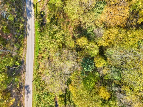 Vacant Land For Sale - Brown Bear Hollow Road<br/> Northfork, WV 24868