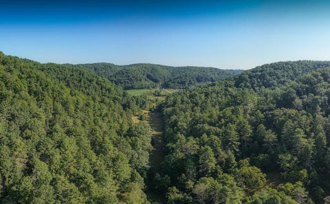 Vacant Land For Sale - Nubbins Ridge Road<br/> Mercer County, Beeson, WV 24714