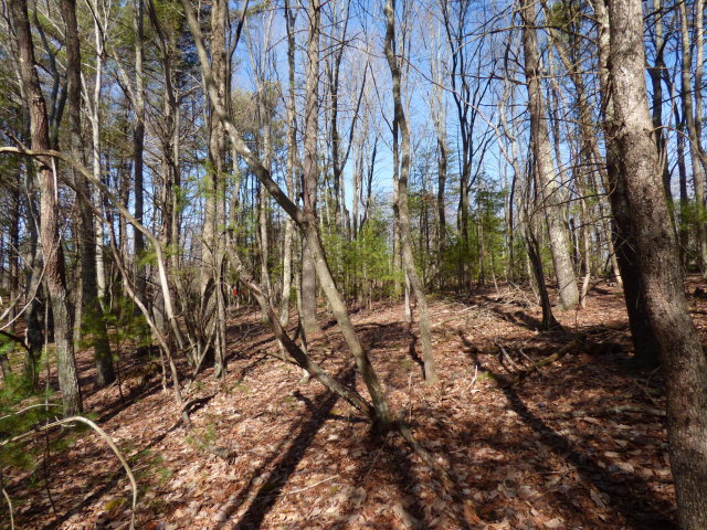 204 Glen Planters Lane #26, Daniels, West Virginia image 3