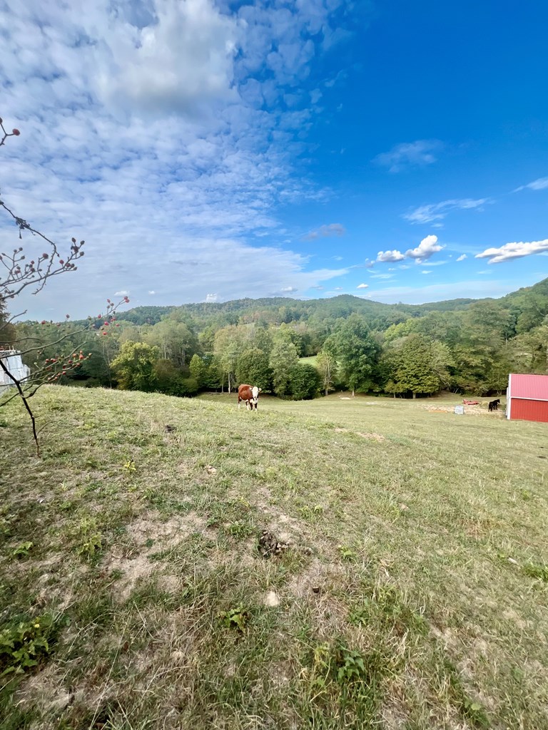 184 Coalson Lane, Lester, West Virginia image 32