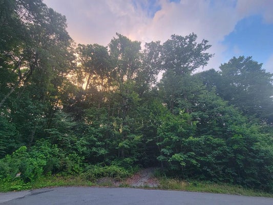 0 CRANBERRY POINTE WAY # 40, BECKLEY, WV 25801 - Image 11a00eafb2f65faee768ec9d0a4485fe/743591763