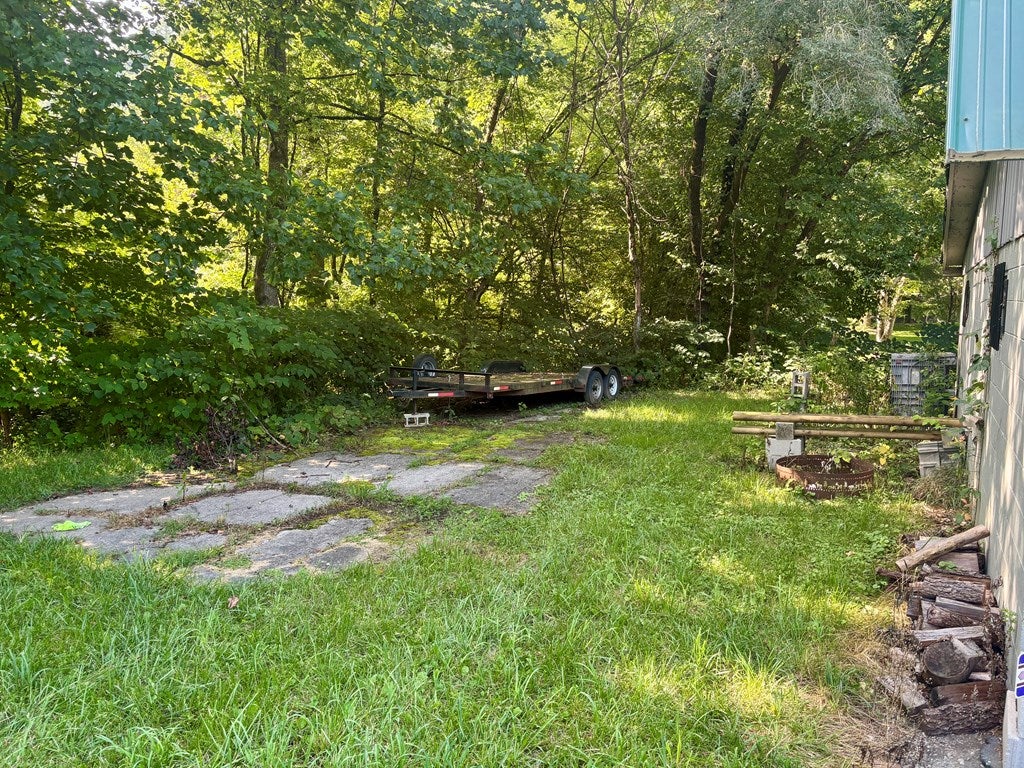 7993 R D Bailey Highway, Brenton, Wv, Usa - Photo 4