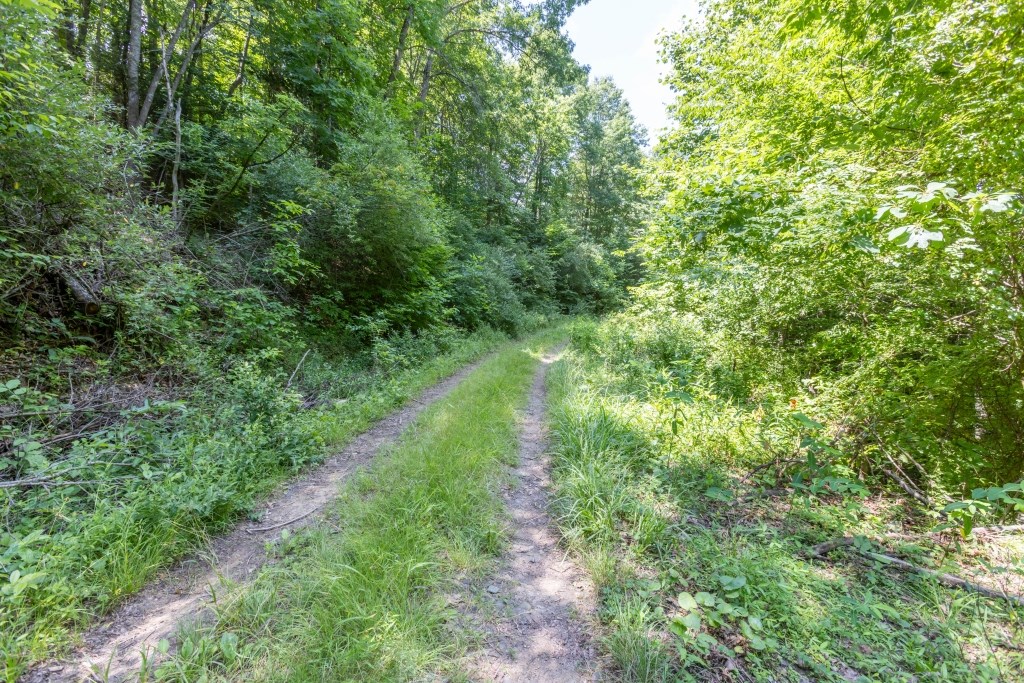 Suncrest Lane, Pineville, West Virginia image 4