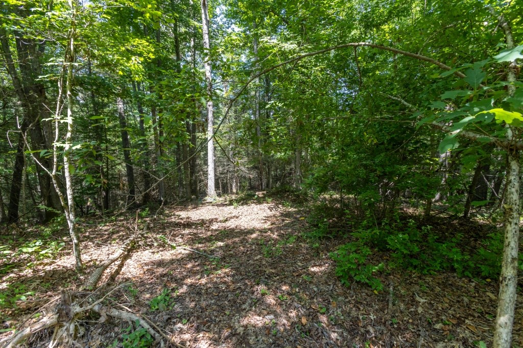 Suncrest Lane, Pineville, West Virginia image 5