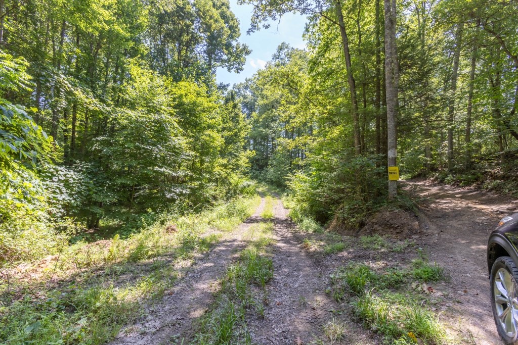 Suncrest Lane, Pineville, West Virginia image 3