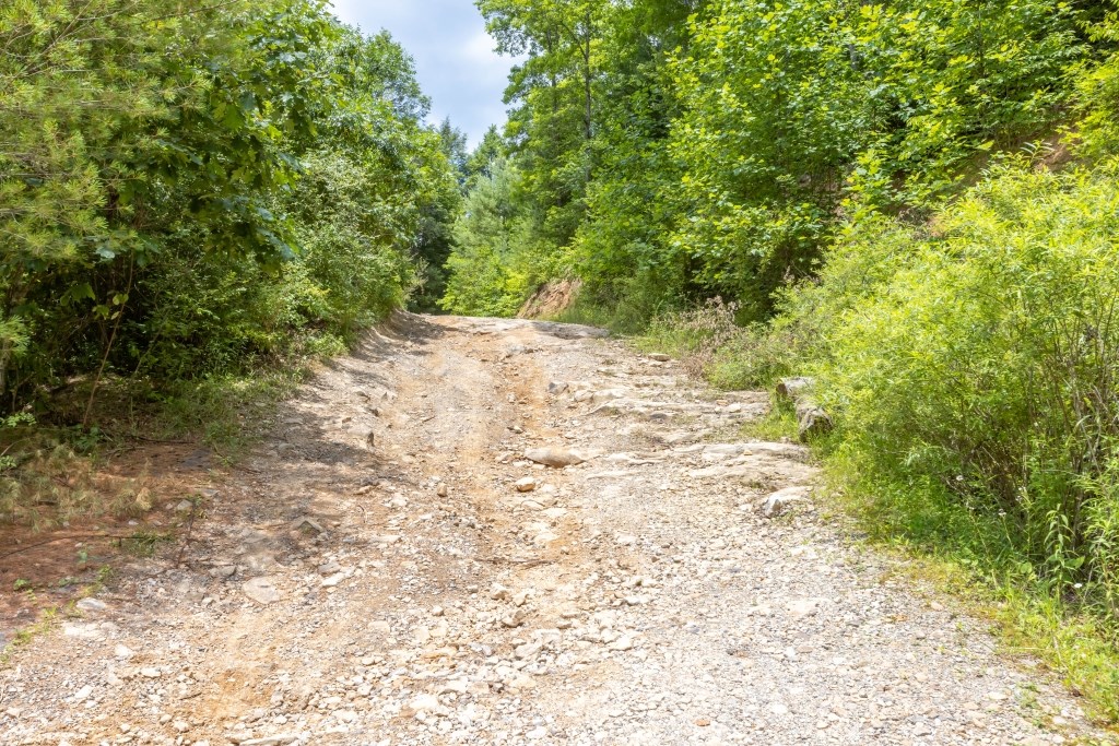 Suncrest Lane, Pineville, West Virginia image 2
