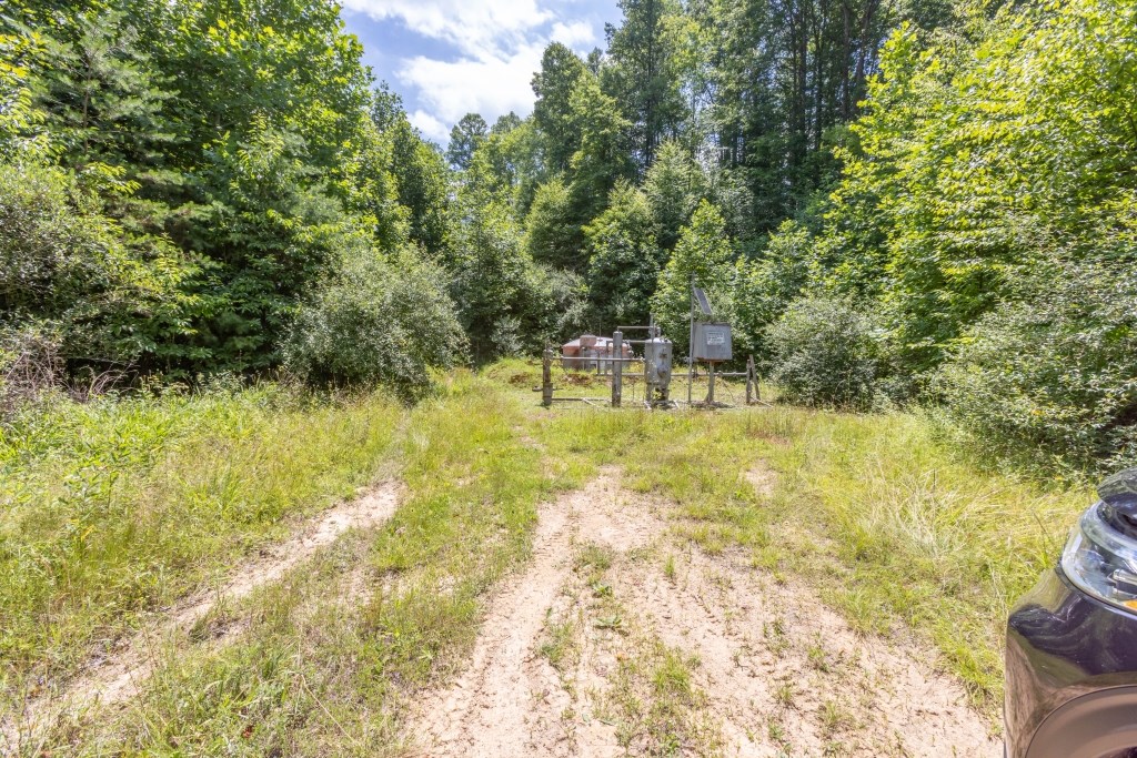 Suncrest Lane, Pineville, West Virginia image 7