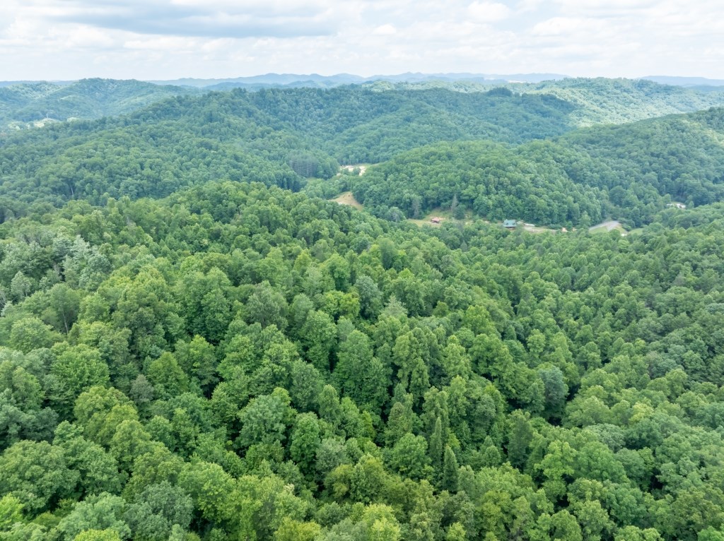 Suncrest Lane, Pineville, West Virginia image 9