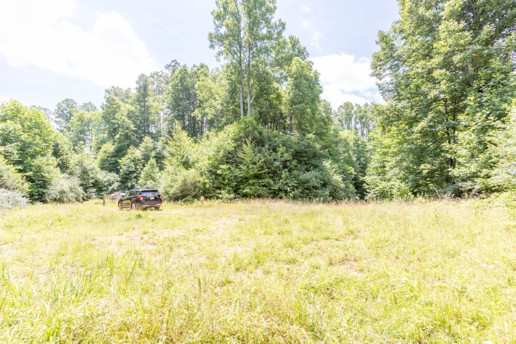 Suncrest Lane, Pineville, West Virginia image 8