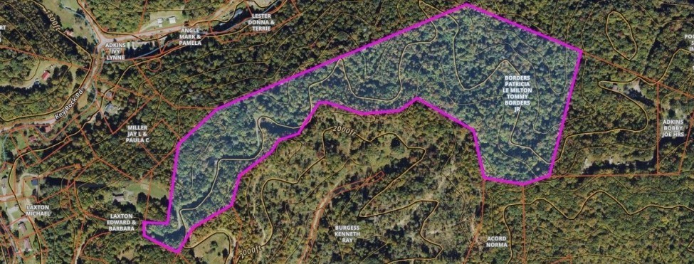 Suncrest Lane, Pineville, West Virginia image 10