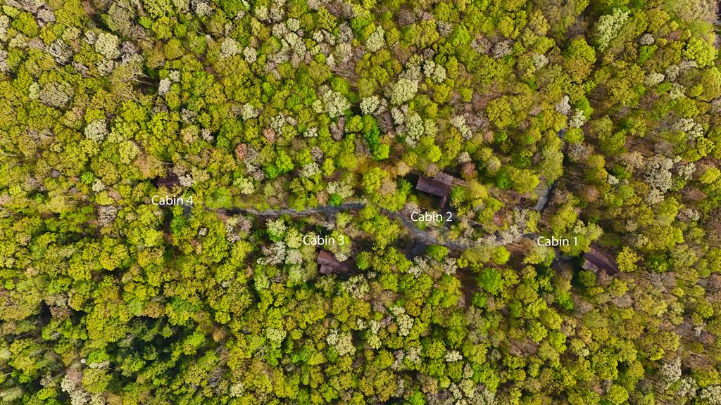 00 Hemlock Haven Plus, Hico, West Virginia image 40