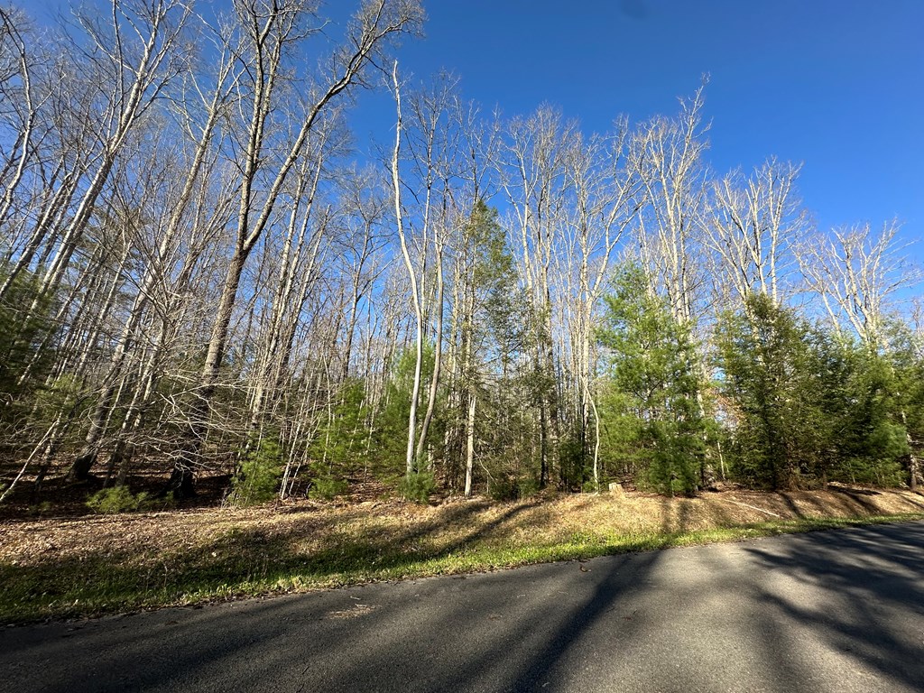 Branchwood Lane, Daniels, West Virginia image 18