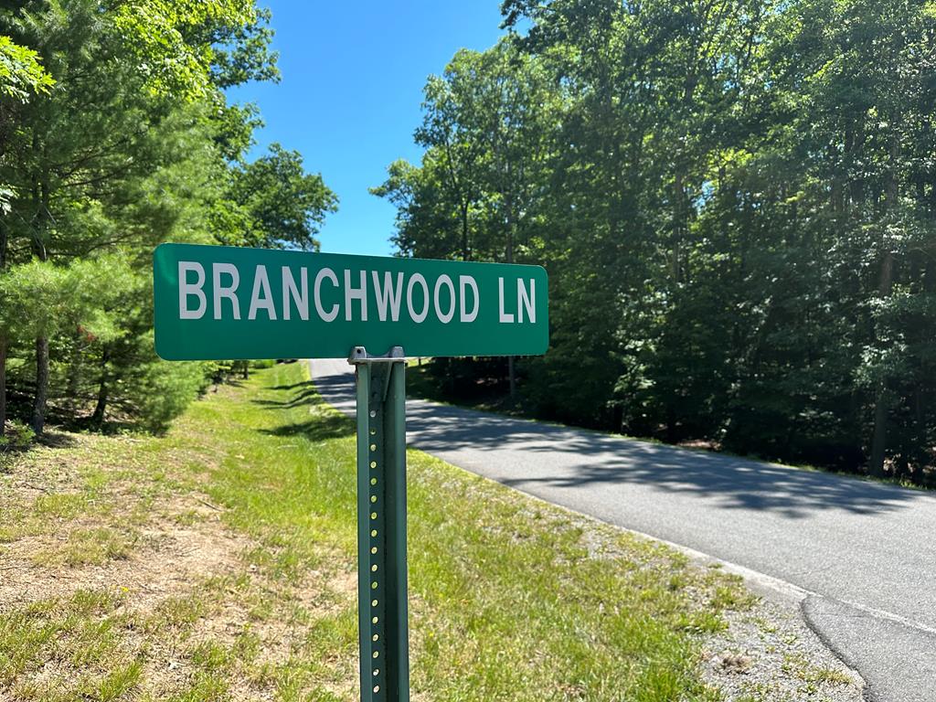 Branchwood Lane, Daniels, West Virginia image 8