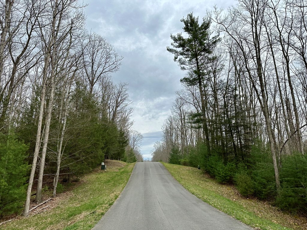 Branchwood Lane, Daniels, West Virginia image 10