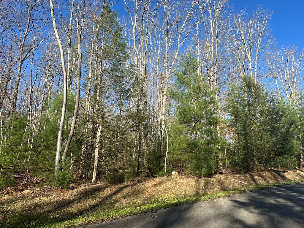 Branchwood Lane, Daniels, West Virginia image 17