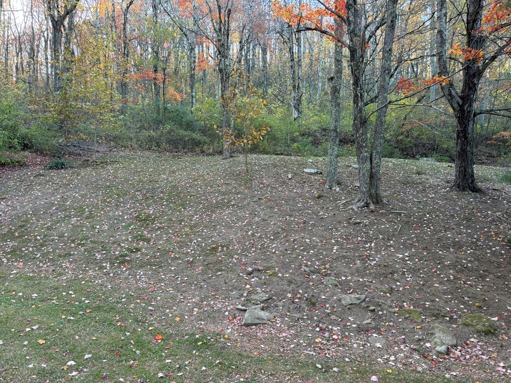 4072 Flat Top Road, Ghent, West Virginia image 26