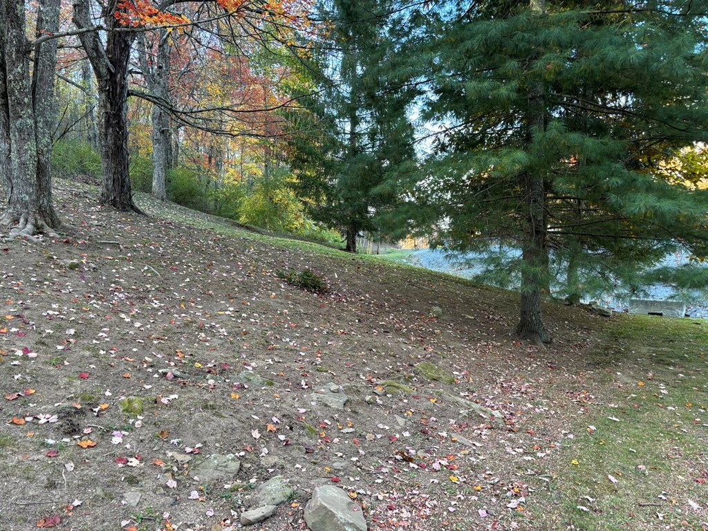 4072 Flat Top Road, Ghent, West Virginia image 27
