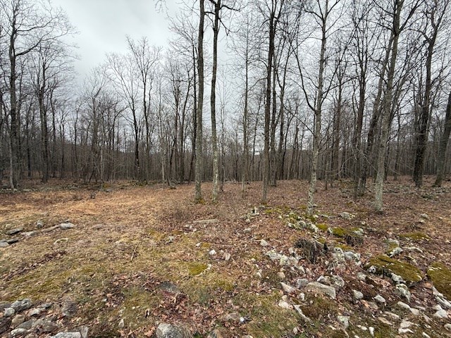 1252 Ellison Ridge Rd, Jumping Branch, West Virginia image 26