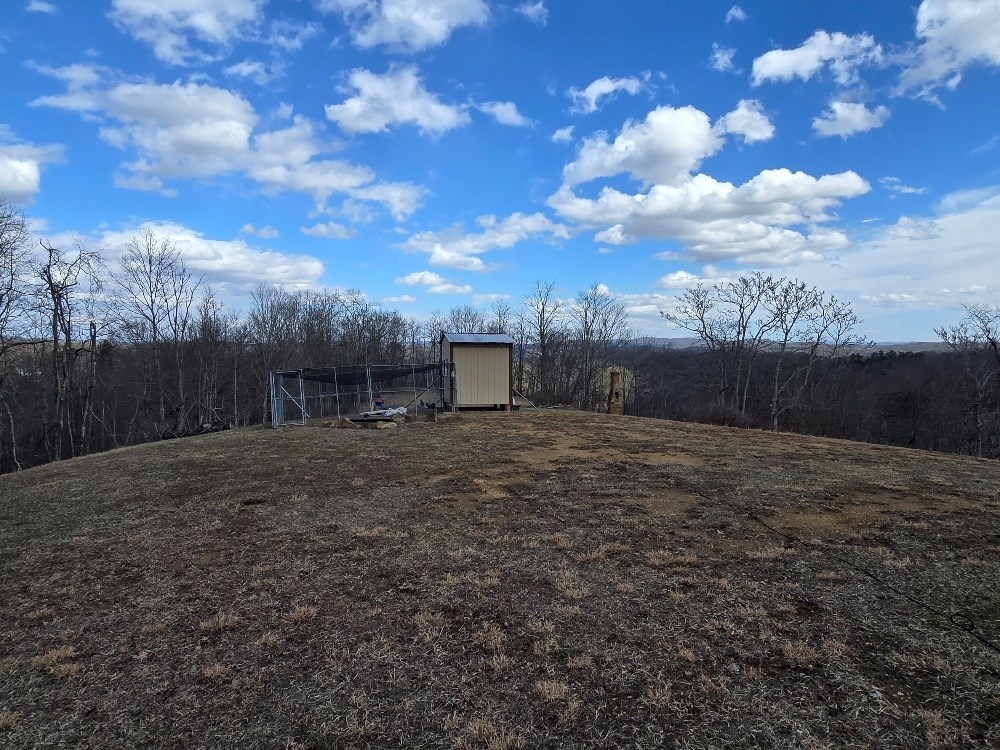 2712 Nubbins Ridge Rd, Beeson, West Virginia image 16