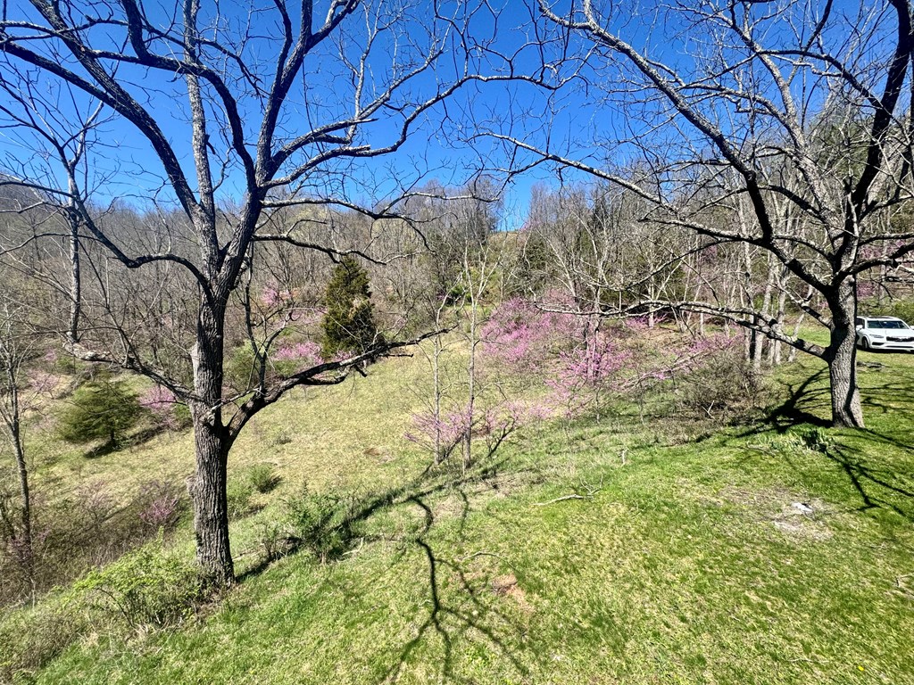 1476 Bal Noble Rd, Hinton, West Virginia image 27