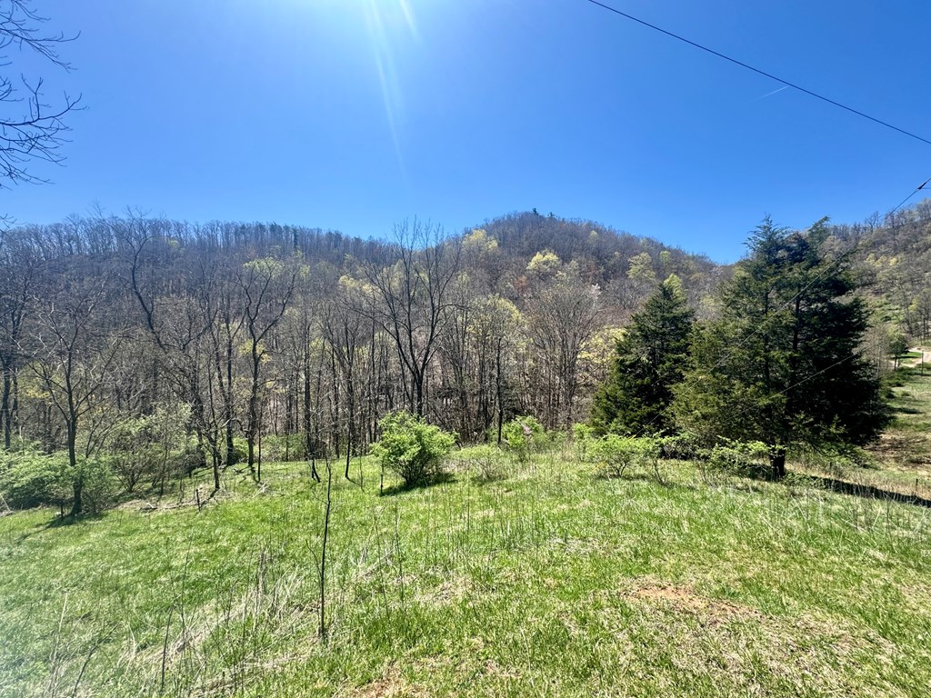 1476 Bal Noble Rd, Hinton, West Virginia image 18