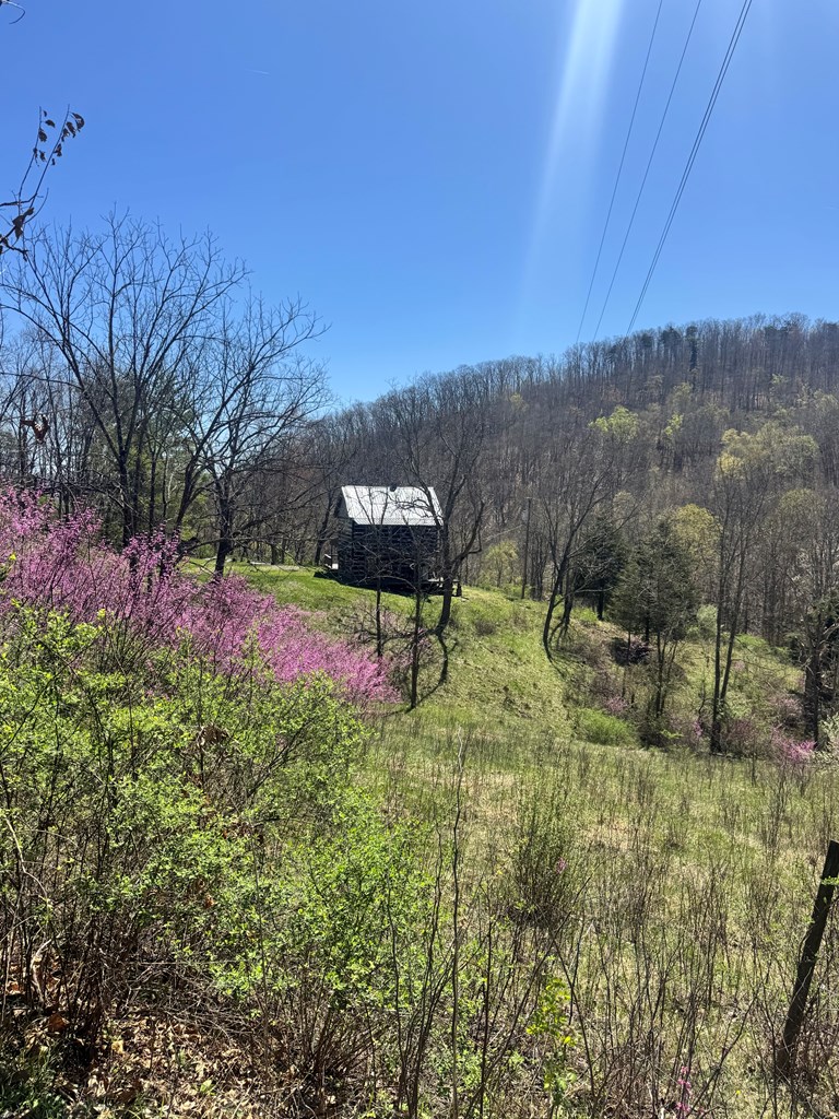 1476 Bal Noble Rd, Hinton, West Virginia image 6