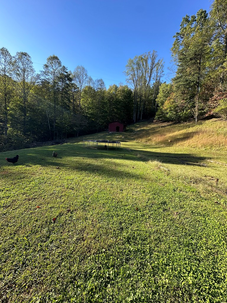179 Fox Ave, Ansted, West Virginia image 7