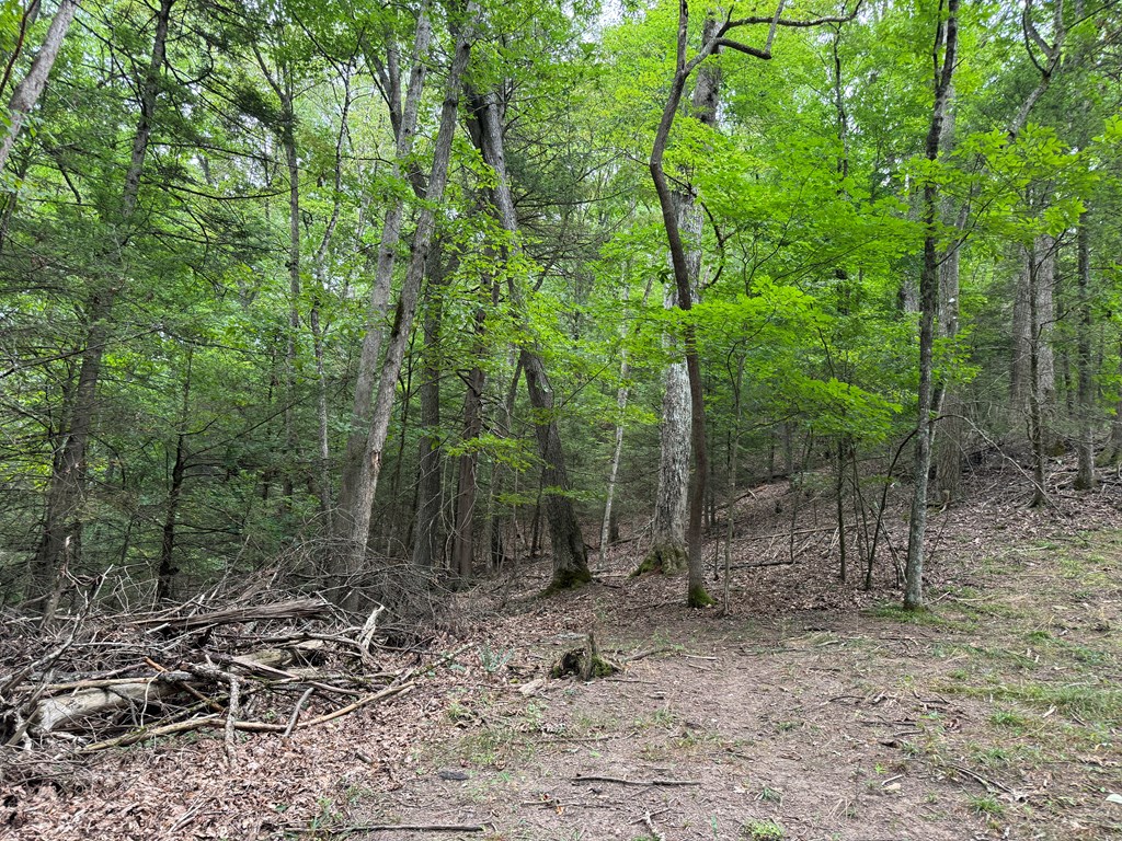 1599 C & O Dam Road, Daniels, West Virginia image 9