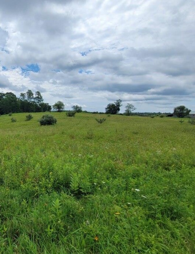 00 Loops Road, Rainelle, West Virginia image 3