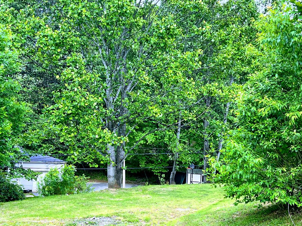 134 6th St, Bradley, West Virginia image 15