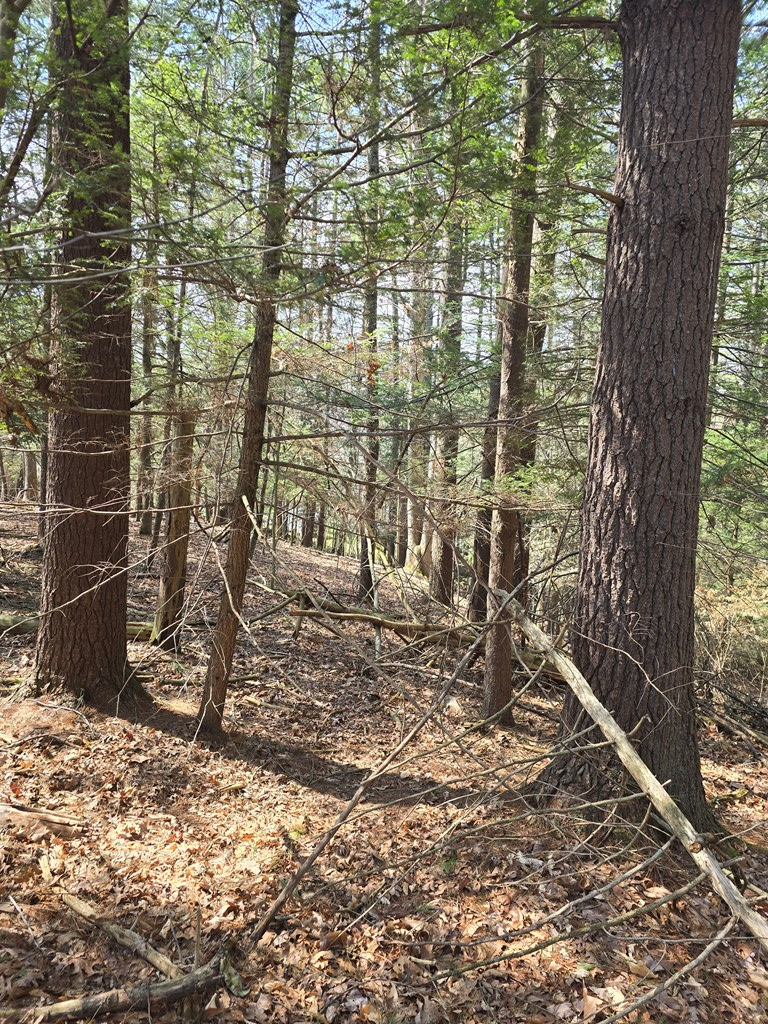 129 Hughes Road, Daniels, West Virginia image 3
