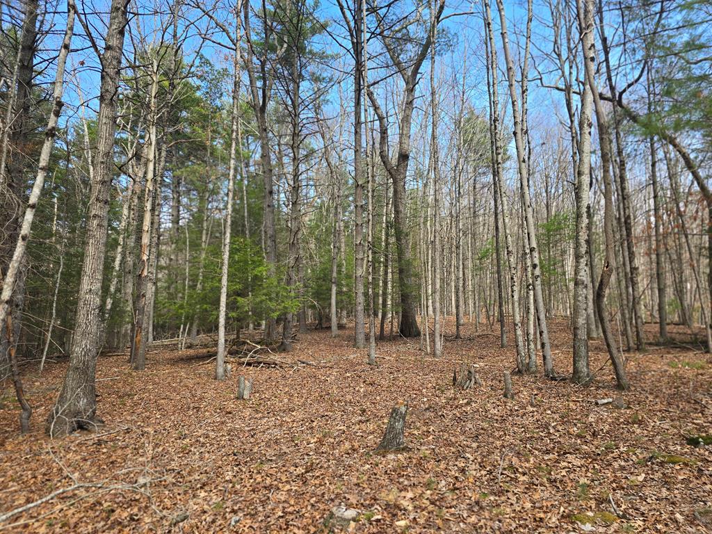 129 Hughes Road, Daniels, West Virginia image 1