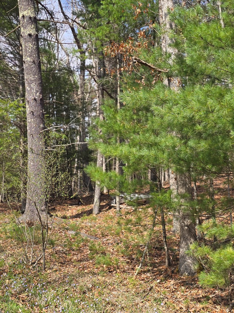 129 Hughes Road, Daniels, West Virginia image 7