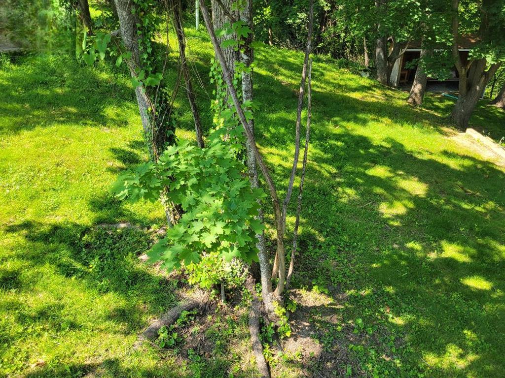 203 1/2 Reservoir Road, Beckley, West Virginia image 2