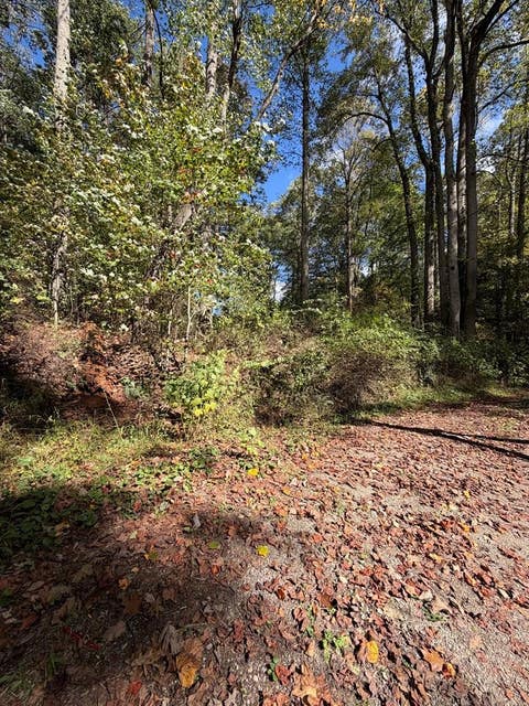 Vacant Land For Sale - Orchard Hill Rd<br/> Beaver, WV 25813