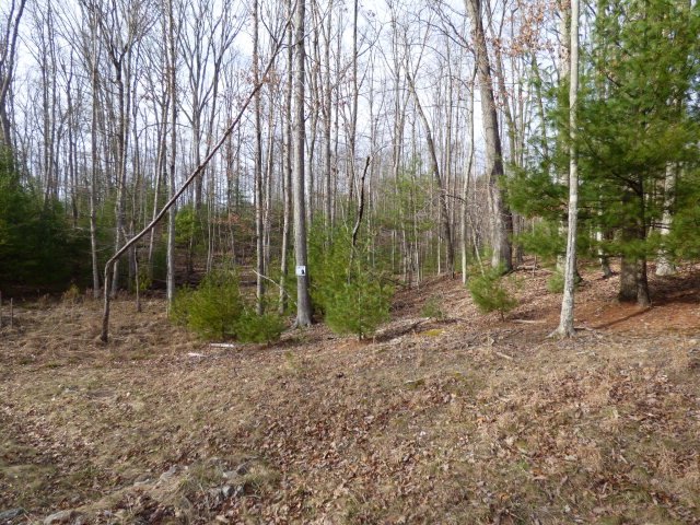252 Branchwood Lane #17, Daniels, West Virginia image 3