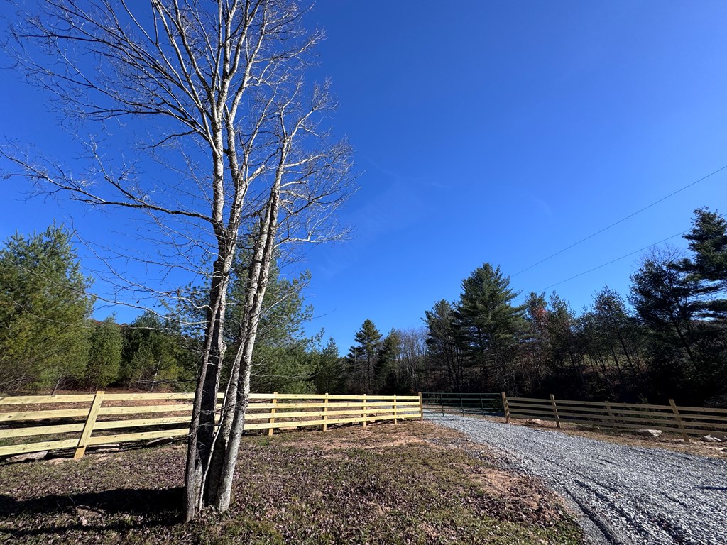 Cold Hollow Road, Rainelle, West Virginia image 3