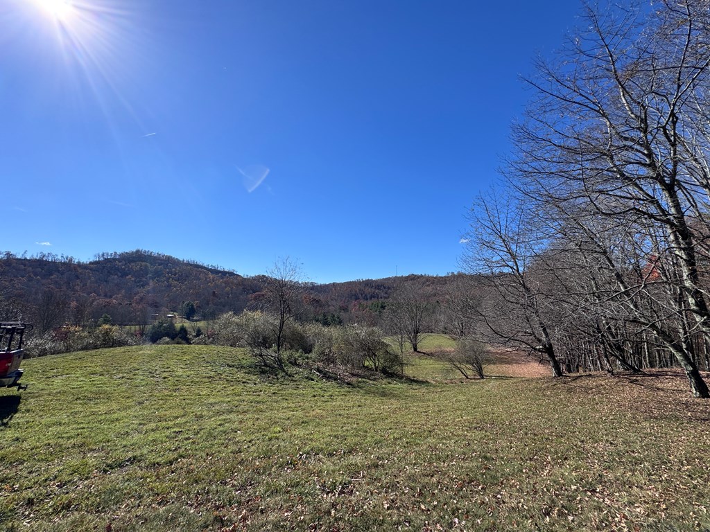 Cold Hollow Road, Rainelle, West Virginia image 6