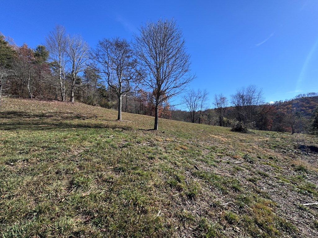 Cold Hollow Road, Rainelle, West Virginia image 8