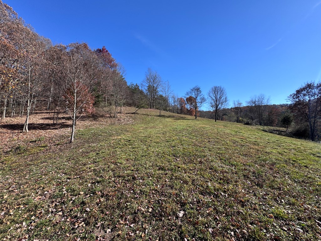 Cold Hollow Road, Rainelle, West Virginia image 7