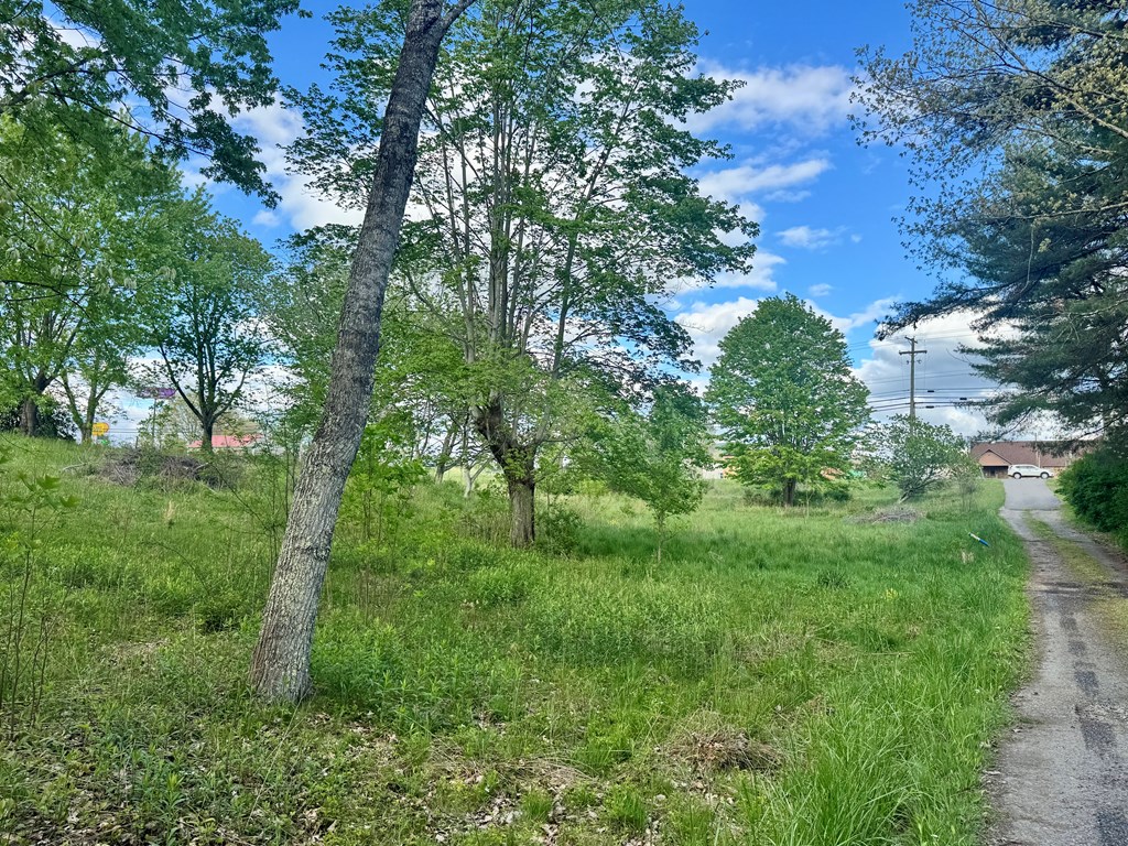 124 Cottonwood Ln, Beaver, West Virginia image 10