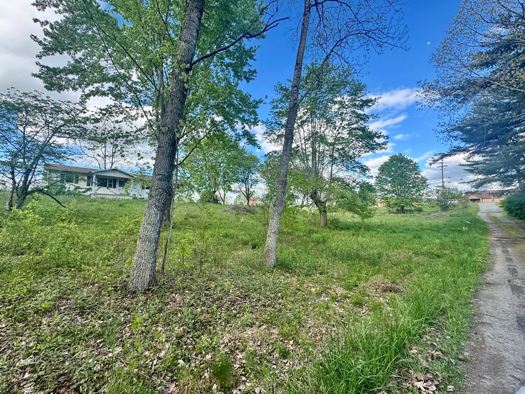 124 Cottonwood Ln, Beaver, West Virginia image 11