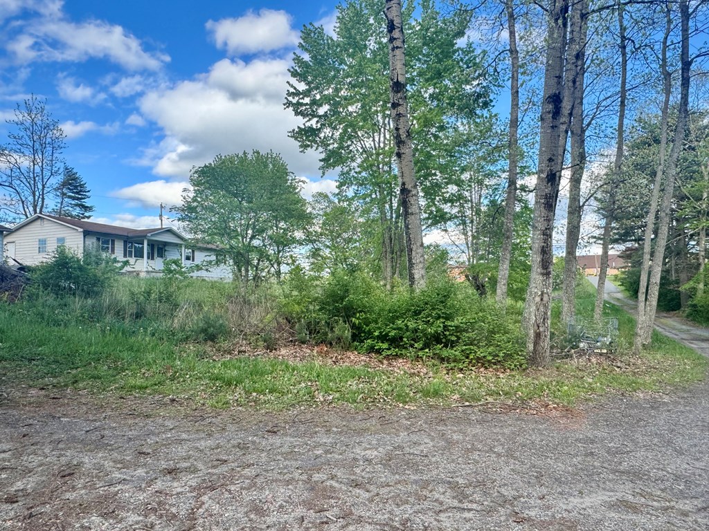 124 Cottonwood Ln, Beaver, West Virginia image 7