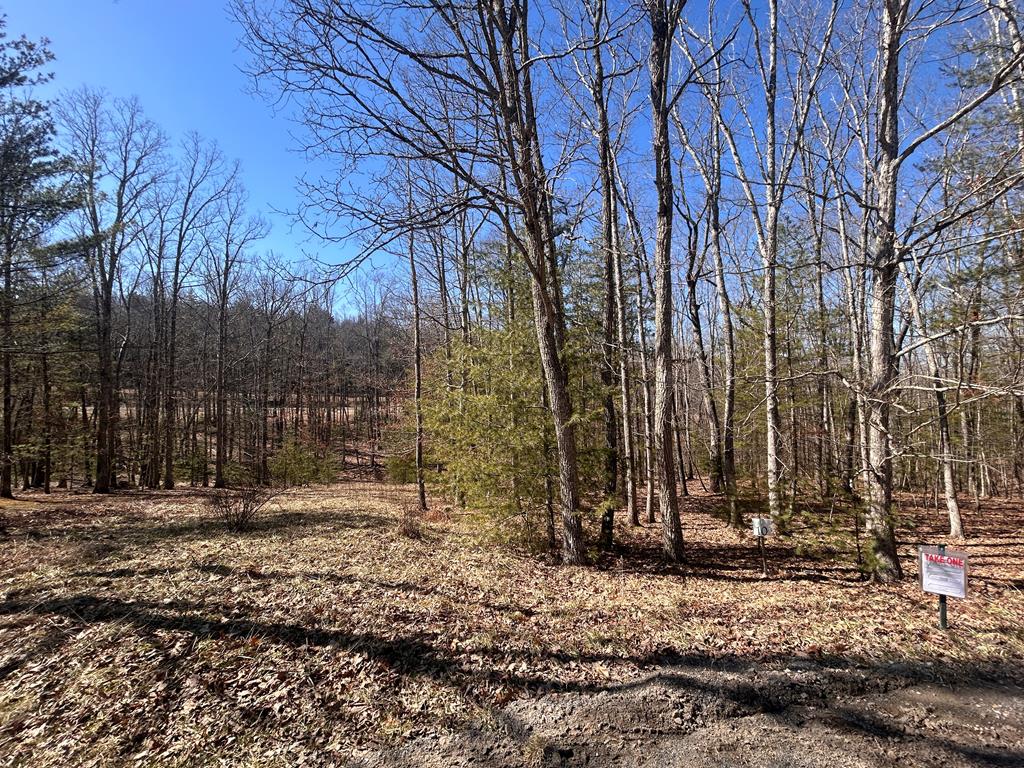 111 Hickory Court #10, Daniels, West Virginia image 3