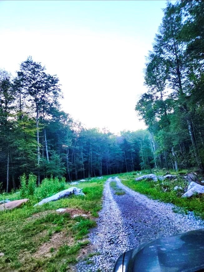 1874 Grassy Creek Road, Leivasy, West Virginia image 4