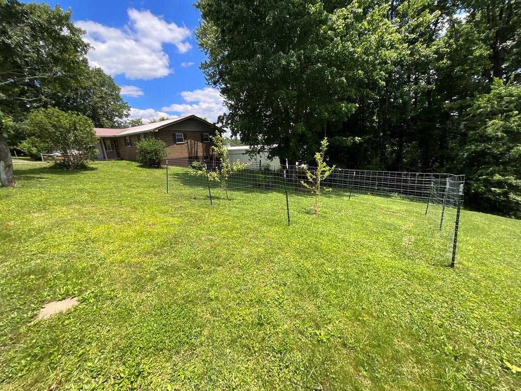 113 Joyce Street - Photo 3